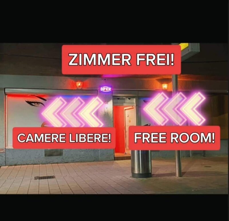 Viena, studio (Puf) Wien cautam fete pentru colaborare